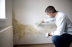 Carol Stream, IL Mold Inspection Company